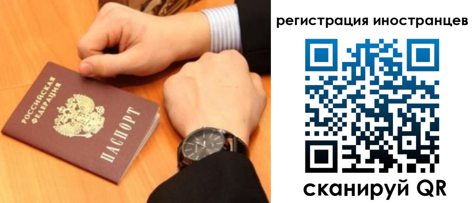 прописка гарантия в Фролово